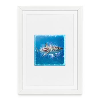 Trance Shark - Framed poster (27 × 37 cm) - white - Front