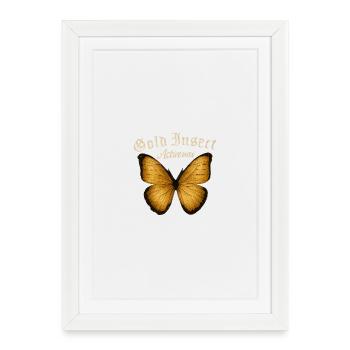 Idée de cadeau actif pour les fans de Golden Butterfly - Affiche encadrée (27 × 37 cm) - blanc - Devant