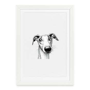 C’est quoi ? Lévrier espiègle - Affiche encadrée (27 × 37 cm) - blanc - Devant