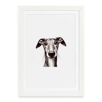 Galgo Girl - Affiche encadrée (27 × 37 cm) - blanc - Devant