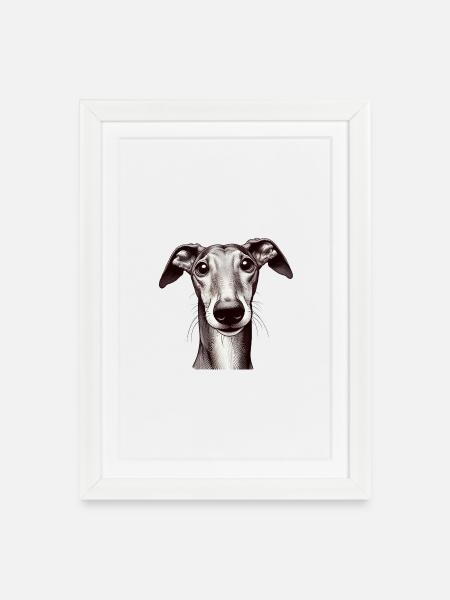 Galgo Girl - Framed poster (27 × 37 cm) - white