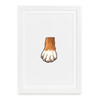 Conception de pattes de chien brunes blanches - Affiche encadrée (27 × 37 cm) - blanc - Devant