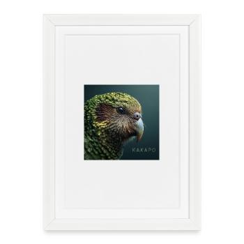 Kakapo – Perroquet vert rare - Affiche encadrée (27 × 37 cm) - blanc - Devant