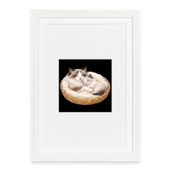 Mom cat and her kitten sleep together - Framed poster (27 × 37 cm) - white - Front
