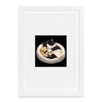 Le chaton dort avec son ours en peluche - Affiche encadrée (27 × 37 cm) - blanc - Devant