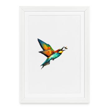 Bee-eater catches bee - Framed poster (27 × 37 cm) - white - Front