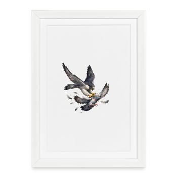 Le faucon pèlerin attrape un pigeon - Affiche encadrée (27 × 37 cm) - blanc - Devant