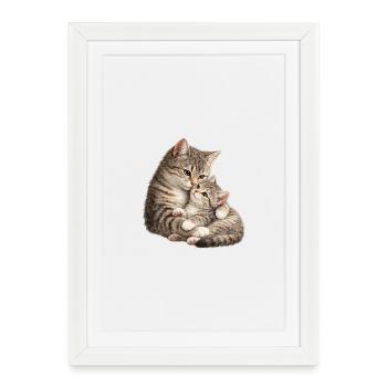 Mom cat cuddles with her sweet cute kitten - Framed poster (27 × 37 cm) - white - Front