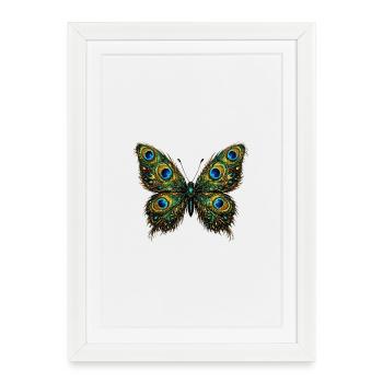 Butterfly with peacock feathers 2 - Framed poster (27 × 37 cm) - white - Front
