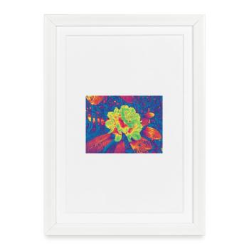 Neon Bloom Psychedelic Flower - Framed poster (27 × 37 cm) - white - Front