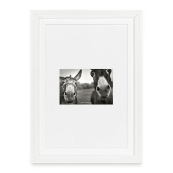1200 Esel_Dudes - Framed poster (27 × 37 cm) - white - Front