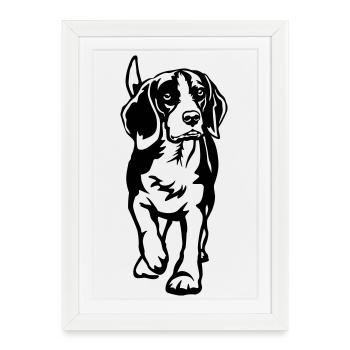 Beagle - Affiche encadrée (27 × 37 cm) - blanc - Devant