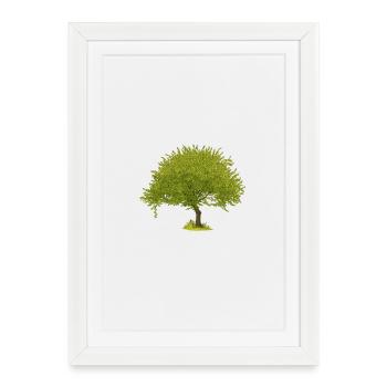 Green Summer Tree - Framed poster (27 × 37 cm) - white - Front