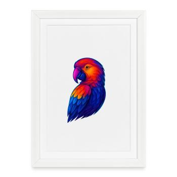 Illustration de perroquet arc-en-ciel vif - Affiche encadrée (27 × 37 cm) - blanc - Devant