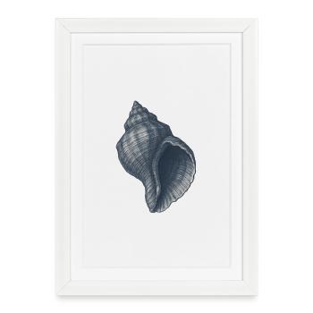Illustration élégante de coquillage nautique - Affiche encadrée (27 × 37 cm) - blanc - Devant