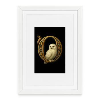 O – Ornement magique avec harfang des neiges - Affiche encadrée (27 × 37 cm) - blanc - Devant