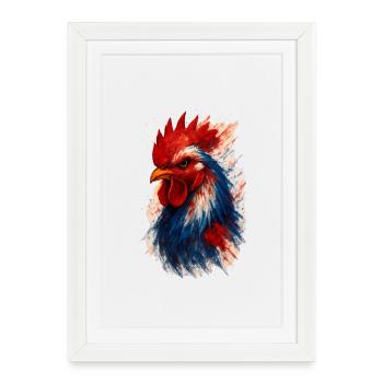 Coq français (tricolore) - Affiche encadrée (27 × 37 cm) - blanc - Devant
