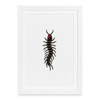 Centipede - Framed poster (27 × 37 cm) - white - Front
