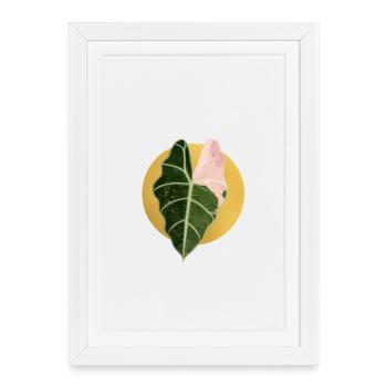Alocasia in the Gold Circle - Framed poster (27 × 37 cm) - white - Front