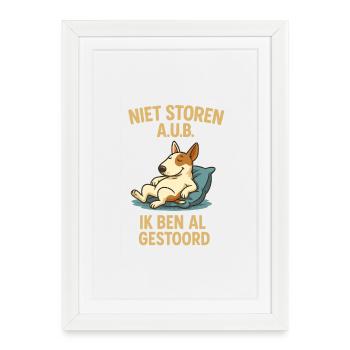 Ne pas déranger le Bull Terrier - Affiche encadrée (27 × 37 cm) - blanc - Devant