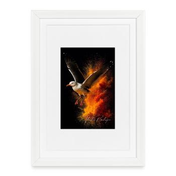 Vol de mouette devant la poussière de feu - Affiche encadrée (27 × 37 cm) - blanc - Devant