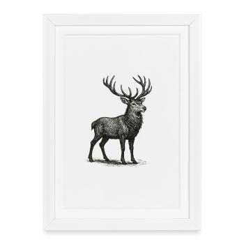 Dessin détaillé du cerf - Affiche encadrée (27 × 37 cm) - blanc - Devant