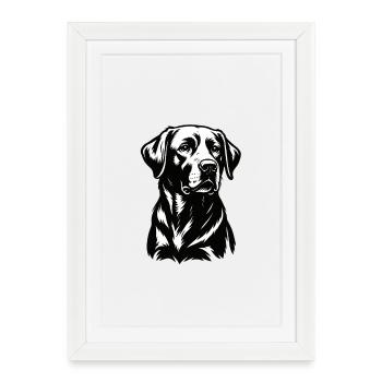 Illustration du chien labrador – Design détaillé - Affiche encadrée (27 × 37 cm) - blanc - Devant