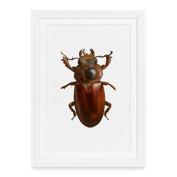 Bronze Bug Crest - Framed poster (27 × 37 cm) - white - Front