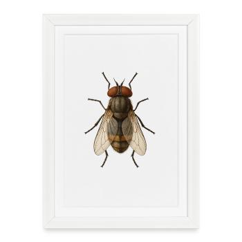 Hyperreal Fly Anatomy Tee - Framed poster (27 × 37 cm) - white - Front
