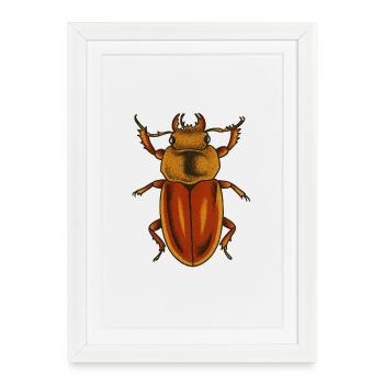 Crimson Bug Art Print - Framed poster (27 × 37 cm) - white - Front