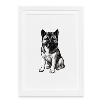 American Akita Holly - Framed poster (27 × 37 cm) - white - Front