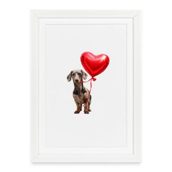 Ballon Cœur de Teckel - Affiche encadrée (27 × 37 cm) - blanc - Devant