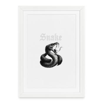 Idée cadeau pour fans à motifs de serpents gothiques - Affiche encadrée (27 × 37 cm) - blanc - Devant