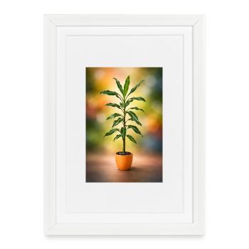 Green potted tree elegance - Framed poster (27 × 37 cm) - white - Front
