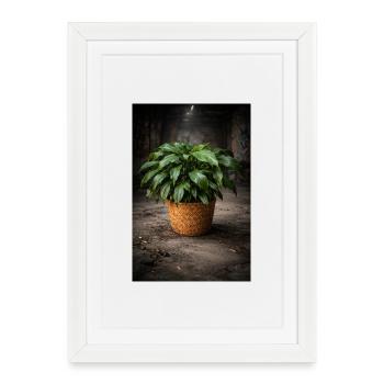 Panier Pot Vert VintageLook - Affiche encadrée (27 × 37 cm) - blanc - Devant