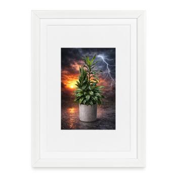 Plante dans la lumière de tempête - Affiche encadrée (27 × 37 cm) - blanc - Devant