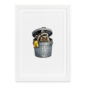 Un raton laveur dans la poubelle avec une banane - Affiche encadrée (27 × 37 cm) - blanc - Devant