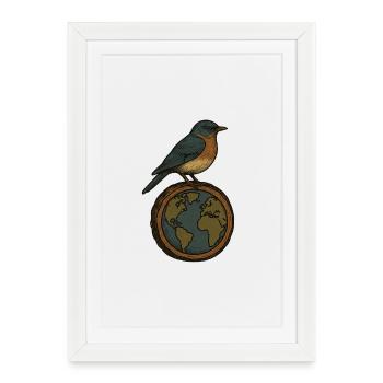 Robin on World Globe - Framed poster (27 × 37 cm) - white - Front
