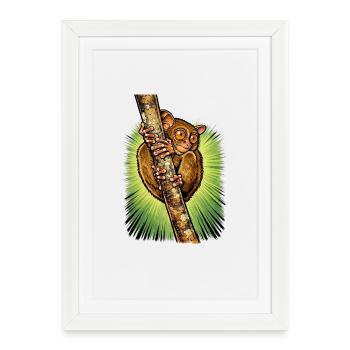 Affe am Ast geklammert - Gerahmtes Poster (27 × 37 cm) - Weiß - Vorne