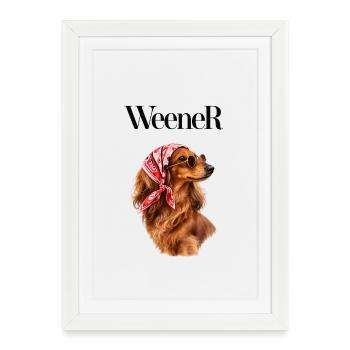 Chien bandana avec lunettes de soleil, teckel, Weener - Affiche encadrée (27 × 37 cm) - blanc - Devant