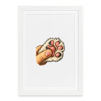 Serre de patte duveteuse - Affiche encadrée (27 × 37 cm) - blanc - Devant