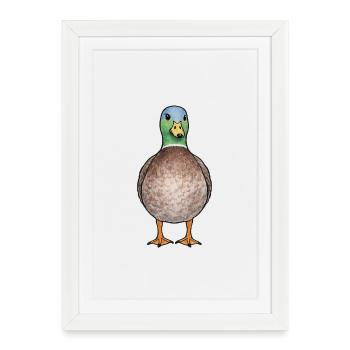 Bunte Stockenten-Illustration - Gerahmtes Poster (27 × 37 cm) - Weiß - Vorne