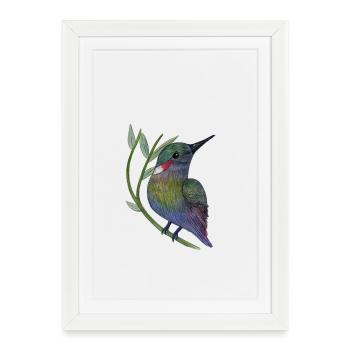 Colibri coloré sur branche de feuille - Affiche encadrée (27 × 37 cm) - blanc - Devant