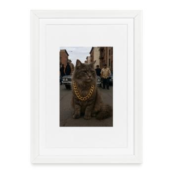 Gangsta Cat - Framed poster (27 × 37 cm) - white - Front