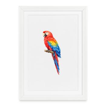 Vibrant parrot coloring - Framed poster (27 × 37 cm) - white - Front