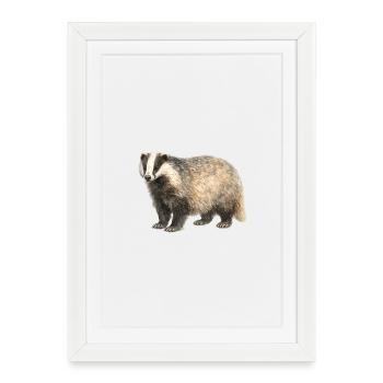 Watercolor Badger Illustration - Framed poster (27 × 37 cm) - white - Front