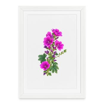 PurpleGeranium Blossoms - Framed poster (27 × 37 cm) - white - Front