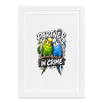 Perruches perruquées complices - Affiche encadrée (27 × 37 cm) - blanc - Devant