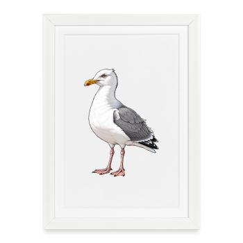 Mouette - Affiche encadrée (27 × 37 cm) - blanc - Devant