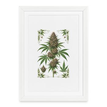 Love_nature - Affiche encadrée (27 × 37 cm) - blanc - Devant